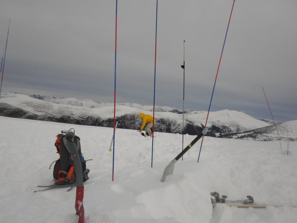 Setting up a probe line during a rescue drill
