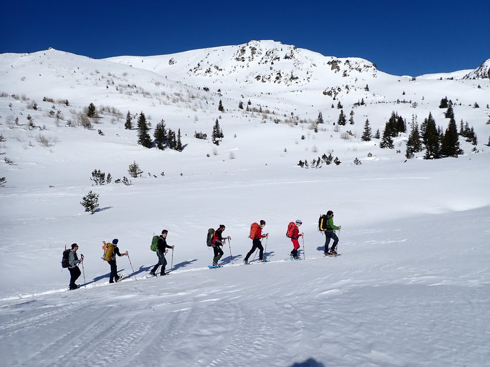 The group moving together across the high bowl