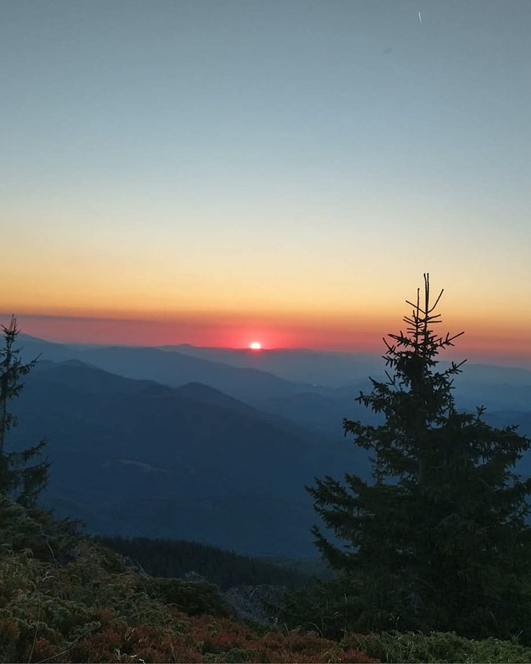 Sunset over the Stara Planina ridge, pine trees silhouetted against the glow